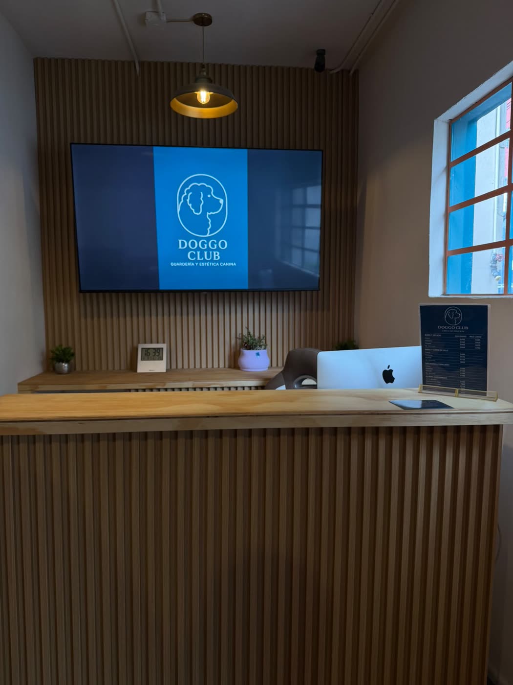 Recepción de Doggo Club: muro de listones de madera clara, pantalla con el logotipo y barra de atención.